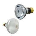 Pentair Replacement Bulbs